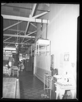 Bread conveyor feed end, Sunlite Bakery