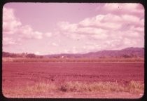 "Springtime S.E. of San Jose 1957"