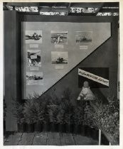 San Jose Municipal Airport Display