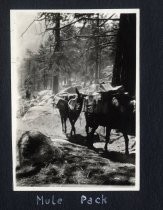 "Mule Pack," Hansen camping trip to Yosemite