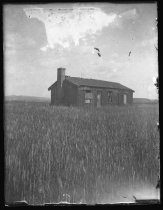 Farm cabin or house in disrepair, surrounded by field