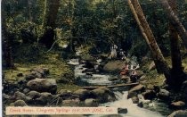 Creek Scene, Congress Springs near San Jose, Cal