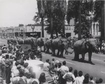 Elephants on Parade, c. 1950