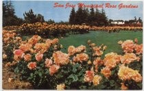 San Jose Municipal Rose Gardens