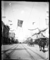 1901 Carnival of Roses