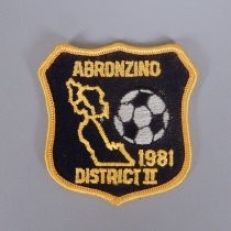 Abronzino District II 1981 patch