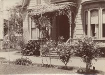 Roses in garden and on porch