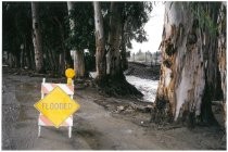 Flooded roadway