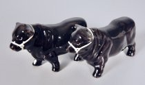 Steers salt & pepper shakers