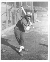 Johnny Chiappe, Permanente softball player