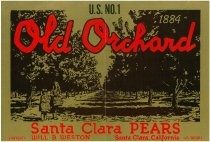 Old Orchard Santa Clara Pears crate label