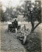 Tractor pulling Knapp Offset Disc Plow in orchard, Catalog Photo 27-A