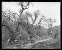 "Nettie & Chester on path near creek in Los Gatos"