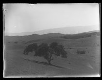 "Bates Ranch near Soledad, April 1917"