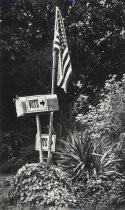 Vote Signs and American Flag