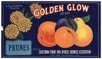 Golden Glow Brand, Prunes, California Prune and Apricot Growers Association, San Jose, California, U. S. A