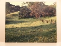 Evergreen Valley landscape