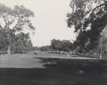 Golfers at Stanford Country Club