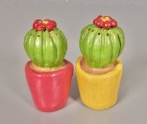 Prickly pear salt & pepper shakers