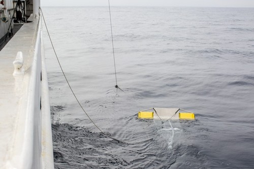 Manta Net Tow from Behind