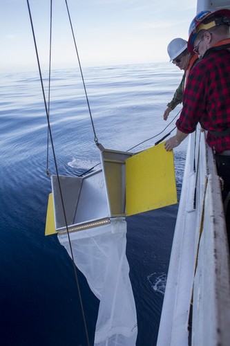 Shimada Crew Deploy Manta Tow