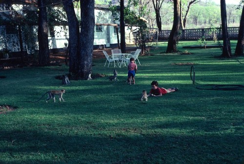 Hotel near Chirundu border in Zimbabwe