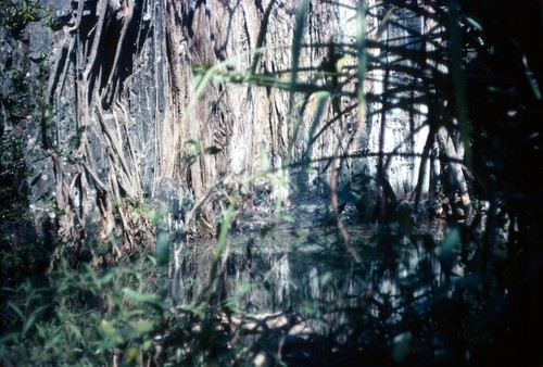 Pool at bottom of Mwaasha Falls, at Kaungu village, near Mukupa Katandula