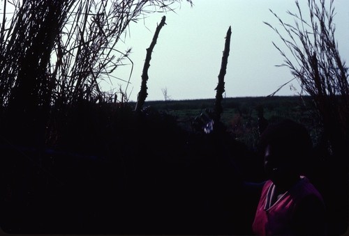 Woman, near sunset, at a salt-making camp near Kaputa village