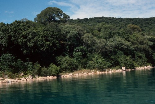 Shore of Lake Tanganyika photographed from a small boat