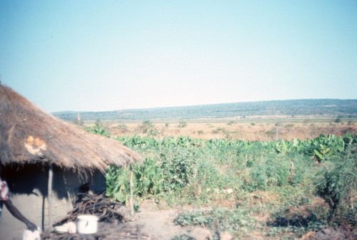 House at small village near Mukupa Katandula, overlooking a garden and, in the distance, Lake Mweru Wantipa