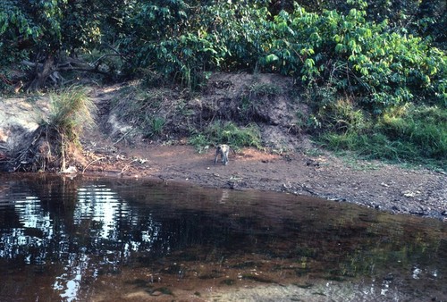 Mukubwe River, running through Nsama village