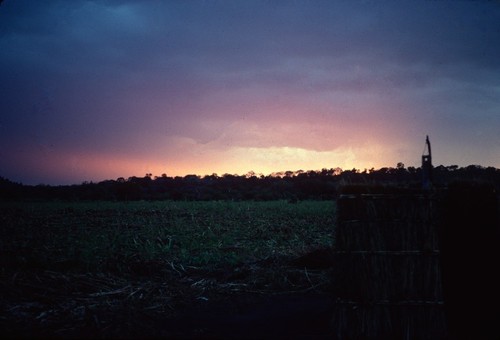 Field at sunset, Mukupa Katandula