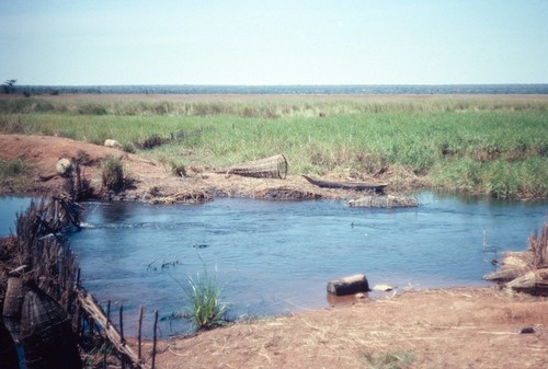 Fishing traps and weirs in stream off a road near Kaputa