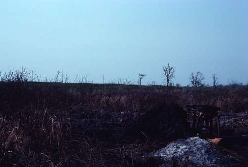 Salt-making camp near Kaputa village