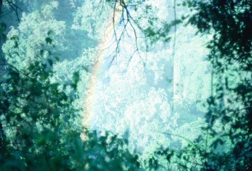 Mist from Victoria Falls makes a rainbow