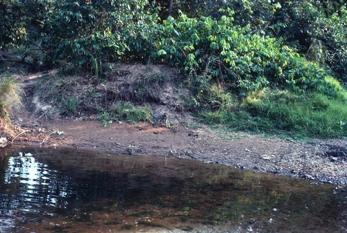 Mukubwe River running through Nsama village