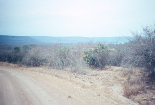 Road in Sumbu game park, as it skirts Lake Tanganyika