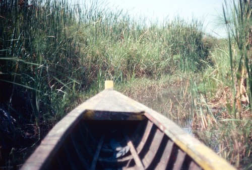 Paddling a small fishing boat through a marshy channel towards Lake Mweru Wantipa