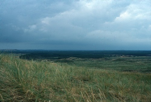 Shore of Lake Mweru Wantipa, Kaputa District