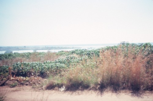 Road around shore of Lake Mweru Wantipa, near Bulaya, Northern Province