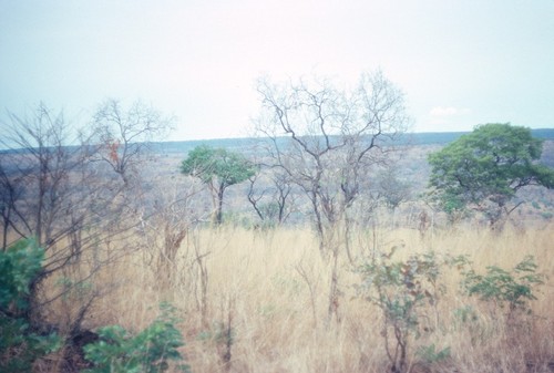 Landscape in Sumbu Game Park, near Lake Tanganyika