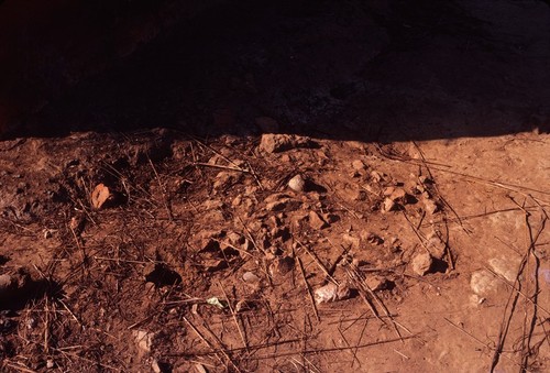 Old iron working site, Sumbu village, Lake Tanganyika