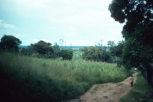 Path in village of Nsama