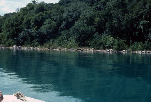 Shore of Lake Tanganyika as seen from a small boat