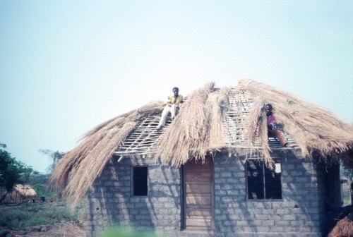 Thatching a roof on new house, Kaputa