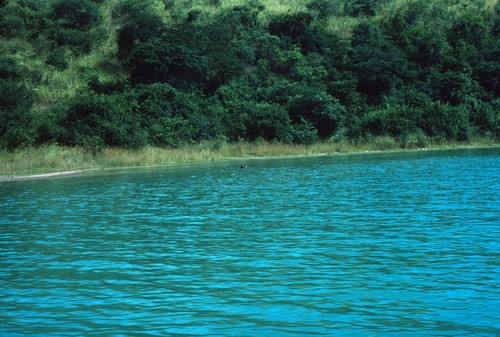 View from boat on Lake Kariba