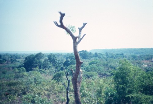 View of area surrounding Nsama village