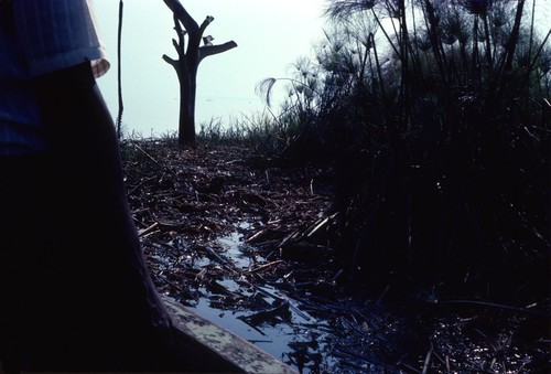 Paddling from Kanakakonge village through a narrow channel of marsh on the way to open waters of Lake Mweru Wantipa