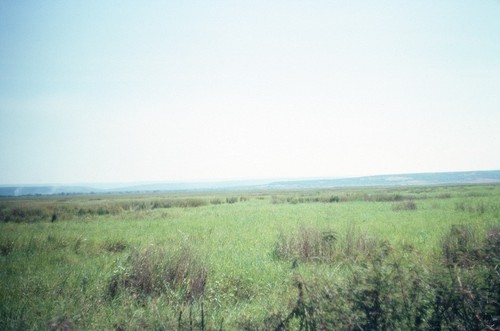 Marshy landscape looking towards Lake Mweru Wantipa