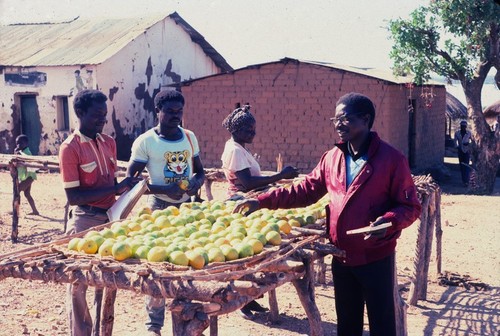 Fruit vendors on street of Kasongole Fishing Camp, Kaputa District